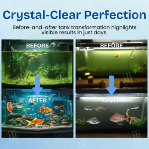 Aquariums Aqua-Guardian Blend - Image 2