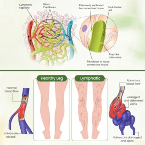 Lymphatic Detox Herbal Cream - Image 4