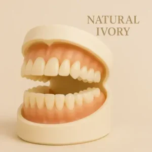 PremiumDenture - Image 3