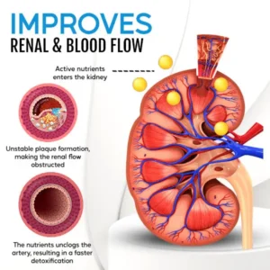 Kidney Boost & Care Inhaler - Image 5