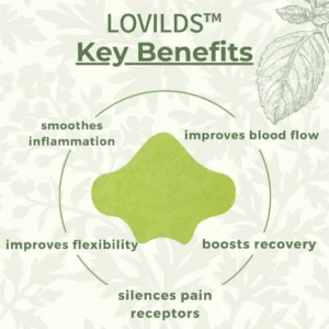 Full-Body Pain Relief Patch - Image 2