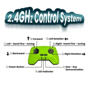 Wall Crawler Gecko - Image 6