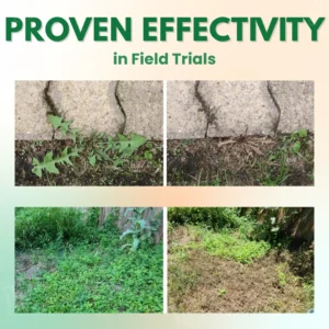 5 in 1 Max Power Herbicide - Image 2