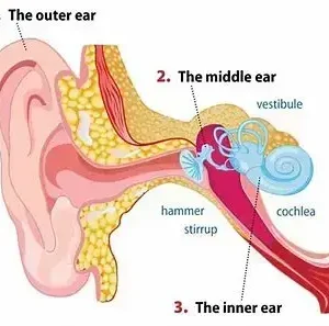 Instant Tinnitus Relief Nasal Inhaler - Image 5