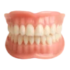 Custom Functional Denture Kits