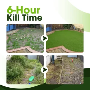 ClearYard Dual-Action Herbicide - Image 4