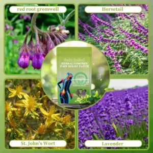 Traditional Secret Formula Organic Herbal Patch - Image 2