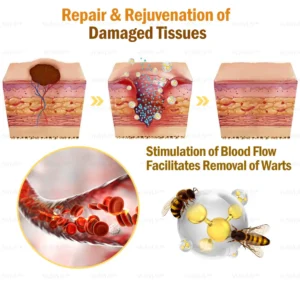 Bee Venom Skin Restoration Cream - Image 13