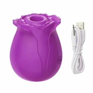 2022 New Upgraded Women Rose Toys with 10 Gears - Image 5