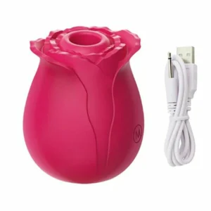 2022 New Upgraded Women Rose Toys with 10 Gears - Image 4