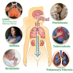 Breathe Mullein Relaxation Stick – Soothes Lungs, Detoxifies, Freshens – Natural Care - Image 3