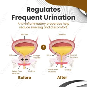 ProstaVeno Prostate Care Nasal Spray - Image 4