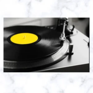 [PROMO 30% OFF] EZ Vinyl Crackles Remover - Image 6