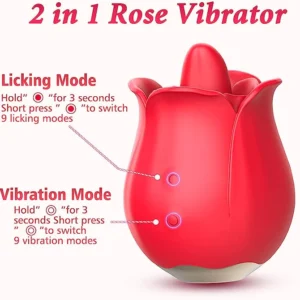 Rose Toys Vibrator for Women - Image 4