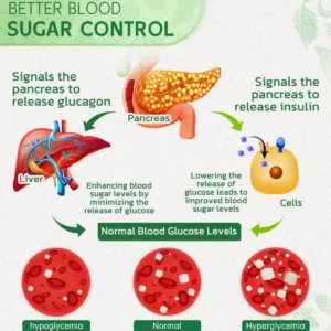 DiabetesCare SugarDown Health Control Spray - Image 4