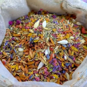 Charming Blossom Seeds - Image 9