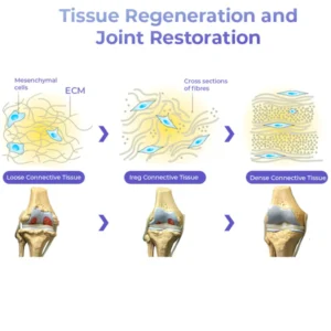 Pro PainRelief Restorative Joint Spray - Image 5