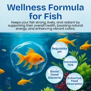 Aquariums Aqua-Guardian Blend - Image 6