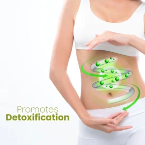 HerbalFirm Cellulite Reduction Patches - Image 6