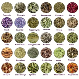 Lymphatic Drainage Foot Bath for Weight Loss - Image 14