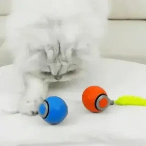 SPEEDY TAIL 2.0 - Image 6