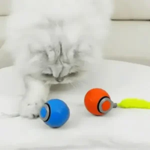 SPEEDY TAIL 2.0 - Image 6