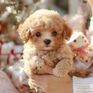Nico – My Realistic Robot Puppy - Image 2