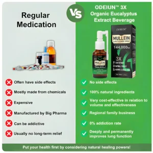 3X Concentrated Mullein Lung Cleanse Spray — Advanced Respiratory Detox & Clear Breathing - Image 6
