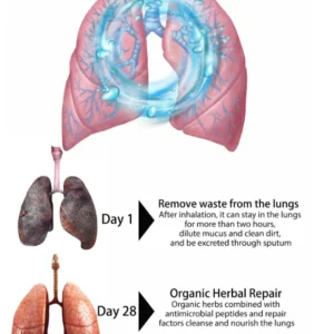 Organic Herbal Lung Cleanse Repair Nasal Spray - Image 5