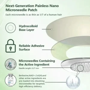𝑩𝒆𝒓𝙗𝙚𝙧𝒊𝙣𝐞 𝐀𝐝𝐯𝐚𝐧𝐜𝐞𝐝 𝙉𝙖𝙣𝙤-𝑴𝒊𝒄𝒓𝒐𝒏𝒆𝒆𝒅𝒍𝒆 𝑷𝒂𝙩𝙘𝙝 𝙏𝙚𝙘𝙝𝙣𝙤𝙡𝙤𝙜𝙮 - Image 4
