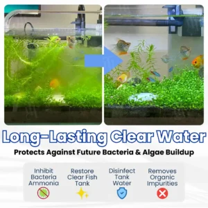 Max-Power Aquarium Purification Tablet - Image 4