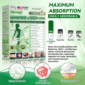 Moringa · Berberine × NAD+ 𝟏𝟎-𝐢𝐧-𝟏 𝐀𝐝𝐯𝐚𝐧𝐜𝐞𝐝 𝐍𝐚𝐧𝐨 𝐌𝐢𝐜𝐫𝐨𝐧𝐞𝐞𝐝𝐥𝐞 𝐏𝐚𝐭𝐜𝐡 - Image 6