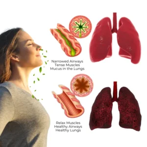 RespiCleanse Herbal Lung Detox Inhaler. - Image 4
