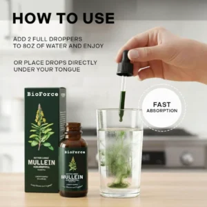 BioForce Mullein Chlorophyl Drops - Image 4