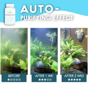 Algae Repellent Agent - Image 5