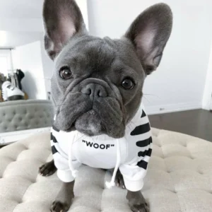 ‘WOOF’ Trendy Dog Hoodie - Image 3