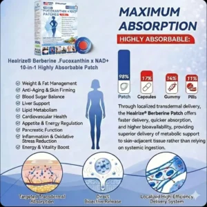 🇺🇸𝑶𝒇𝒇𝒊𝒄𝒊𝒂𝒍 𝑺𝒕𝒐𝒓𝒆 | 💖💖 𝐁𝐞𝐫𝗯𝗲𝐫𝐢𝐧𝐞 · Fucoxanthin × NAD⁺ 𝟏𝟎-𝐢𝐧-𝟏 Highly Absorbale 𝐏𝐚𝐭𝙘𝙝 - Image 4