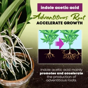 Rapid Rooting Powder - Image 4