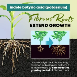 Rapid Rooting Powder - Image 5