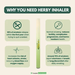 HerbWell Herbal Mullein Thyme And Peppermint Lung Purifier Pen - Image 5