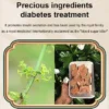 Herbal diabetes patch