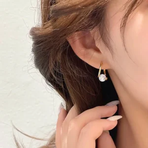 Lymphatic MagneTherapy Germanium Earrings - Image 2