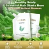 LOVILDS Rosemary Anti-Hair Fall Shampoo
