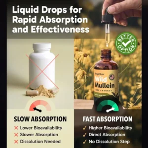 MULLEIN DROPS FOR SMOKERS - Image 5