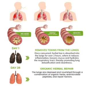 MULLEIN Natural Herbal Tea For Lung Cleanse And Respiratory Support - Image 10