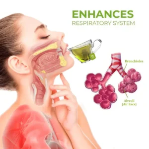 MULLEIN Natural Herbal Tea For Lung Cleanse And Respiratory Support - Image 6