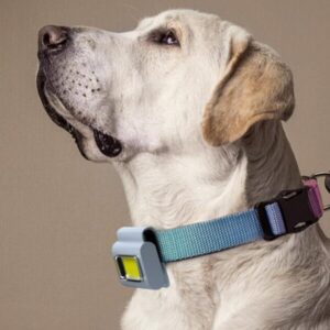Magnetic Cob Work Light - Image 4