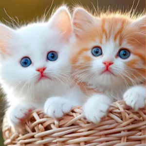 Mily - My Realistic Kitten Robot - Image 2