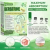 Moringa Berberine × NAD⁺ 10-in-1 Nano Microneedle Patch
