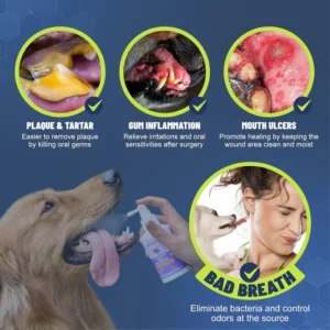 Oral Care Spray - Image 3